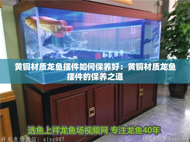 黃銅材質(zhì)龍魚擺件如何保養(yǎng)好：黃銅材質(zhì)龍魚擺件的保養(yǎng)之道