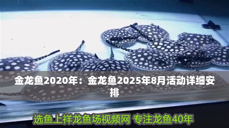 金龍魚2020年：金龍魚2025年8月活動詳細(xì)安排