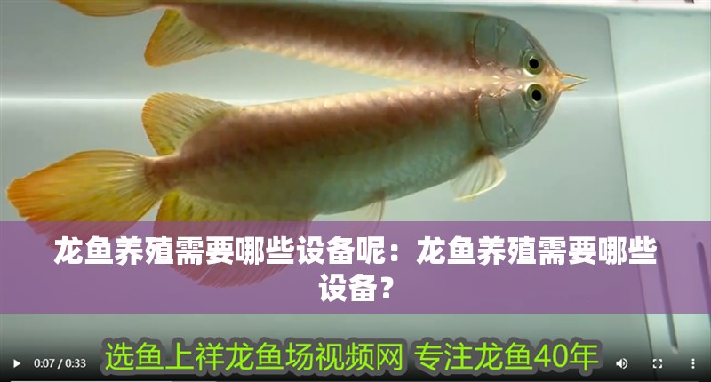 龍魚養殖需要哪些設備呢：龍魚養殖需要哪些設備？