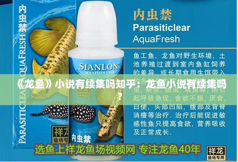 《龍魚》小說有續(xù)集嗎知乎：龍魚小說有續(xù)集嗎？