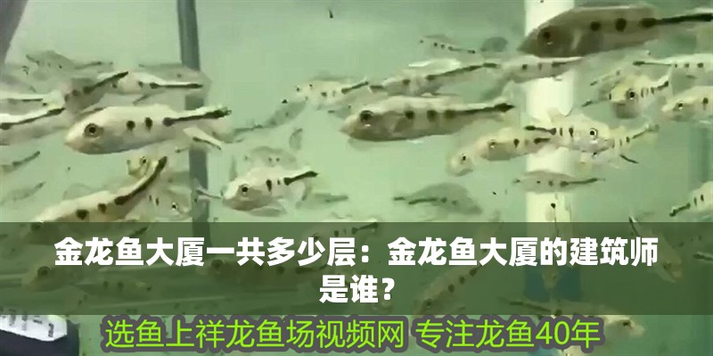 金龍魚大廈一共多少層：金龍魚大廈的建筑師是誰？