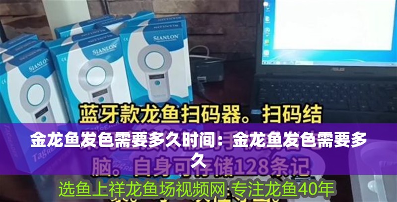 金龍魚發色需要多久時間：金龍魚發色需要多久 金龍魚發色需要多久時間：金龍魚發色需要多久 水族問答