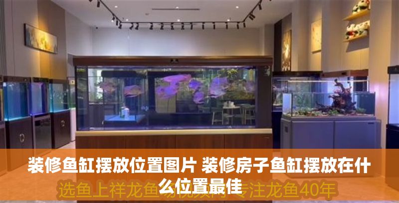 裝修魚缸擺放位置圖片 裝修房子魚缸擺放在什么位置最佳 裝修魚缸擺放位置圖片 裝修房子魚缸擺放在什么位置最佳 龍魚百科 第1張
