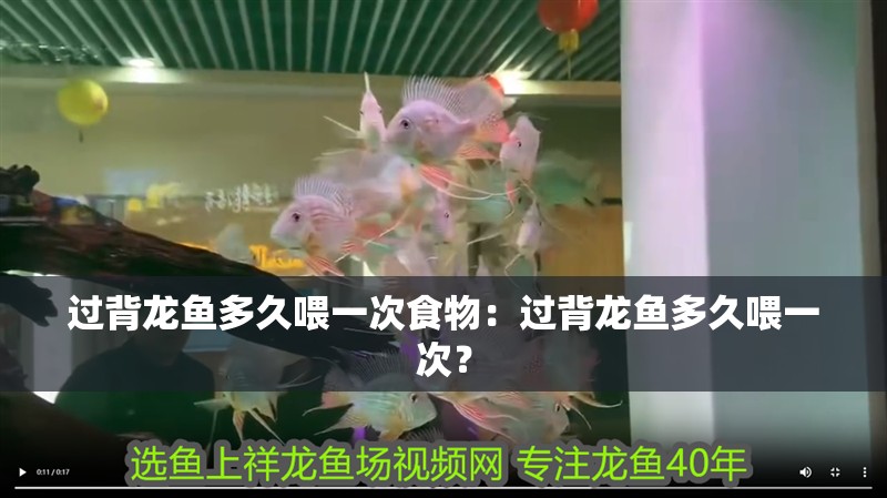 過背龍魚多久喂一次食物：過背龍魚多久喂一次？