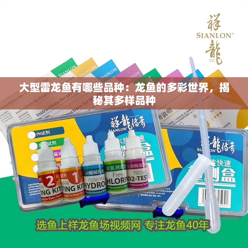 大型雷龍魚有哪些品種：龍魚的多彩世界，揭秘其多樣品種