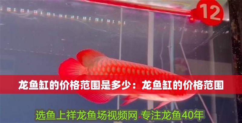 龍魚缸的價(jià)格范圍是多少：龍魚缸的價(jià)格范圍