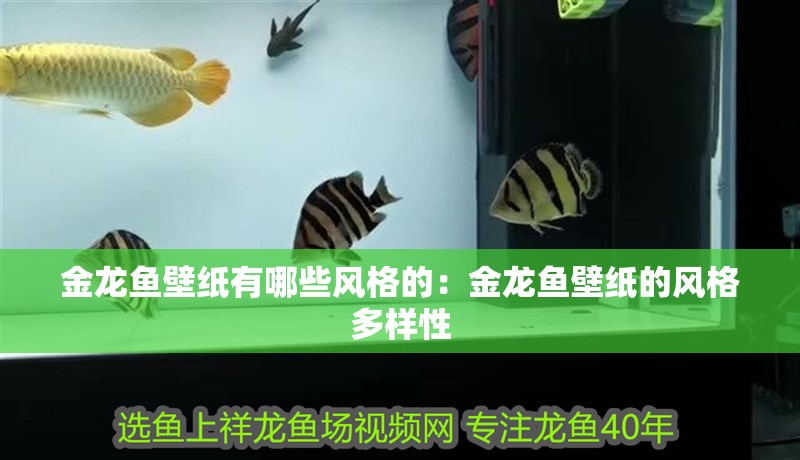 金龍魚壁紙有哪些風(fēng)格的：金龍魚壁紙的風(fēng)格多樣性