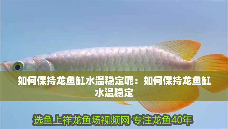 如何保持龍魚缸水溫穩定呢：如何保持龍魚缸水溫穩定
