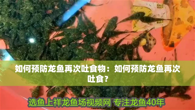 如何預防龍魚再次吐食物：如何預防龍魚再次吐食？
