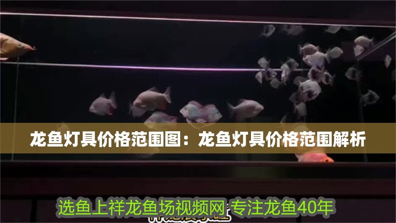 龍魚燈具價格范圍圖：龍魚燈具價格范圍解析