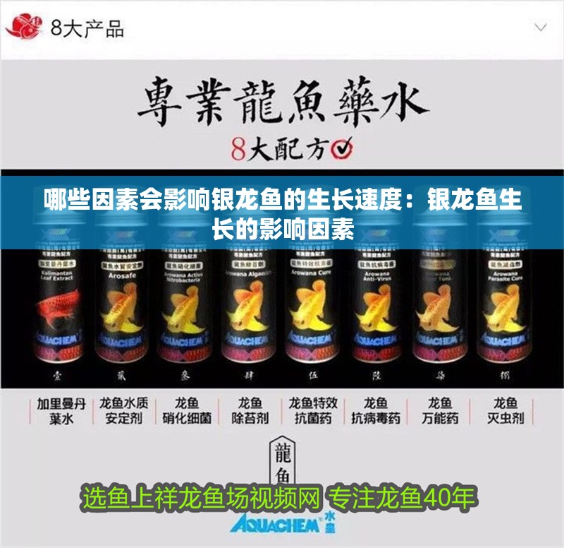 哪些因素會影響銀龍魚的生長速度：銀龍魚生長的影響因素