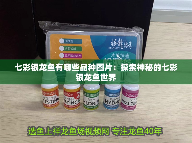 七彩銀龍魚有哪些品種圖片：探索神秘的七彩銀龍魚世界