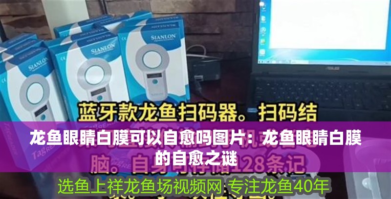龍魚眼睛白膜可以自愈嗎圖片：龍魚眼睛白膜的自愈之謎