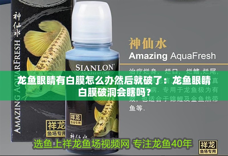 龍魚眼睛有白膜怎么辦然后就破了：龍魚眼睛白膜破洞會瞎嗎？