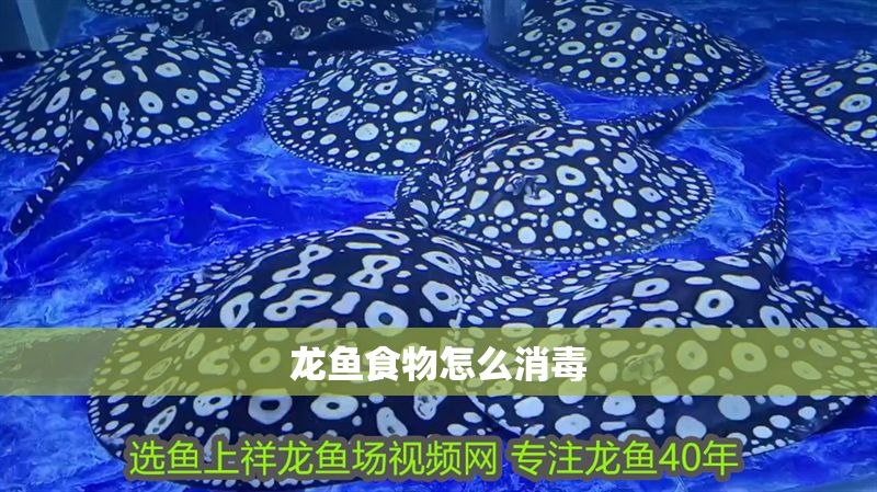 龍魚食物怎么消毒