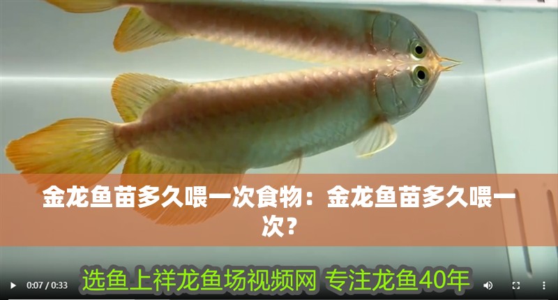 金龍魚苗多久喂一次食物：金龍魚苗多久喂一次？