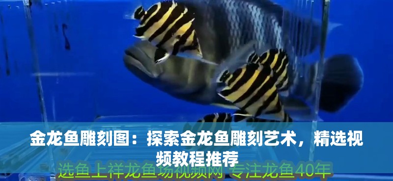 金龍魚雕刻圖：探索金龍魚雕刻藝術，精選視頻教程推薦
