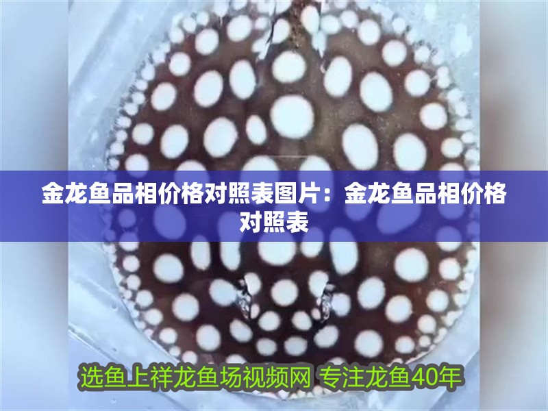 金龍魚品相價格對照表圖片：金龍魚品相價格對照表