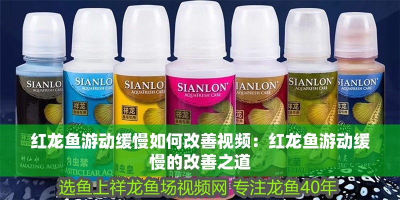 紅龍魚游動緩慢如何改善視頻：紅龍魚游動緩慢的改善之道