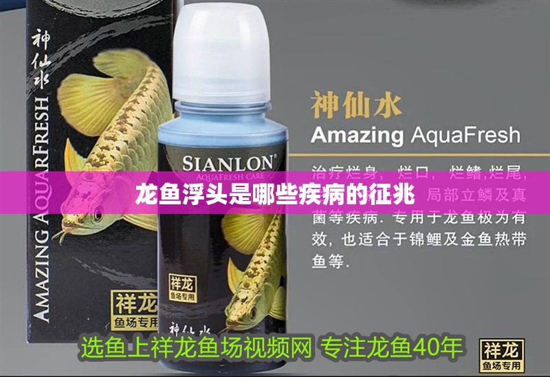 龍魚浮頭是哪些疾病的征兆
