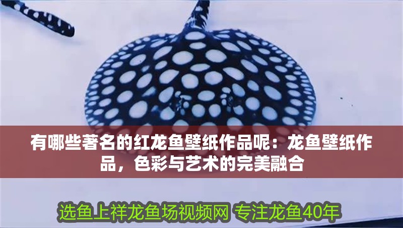 有哪些著名的紅龍魚壁紙作品呢：龍魚壁紙作品，色彩與藝術(shù)的完美融合