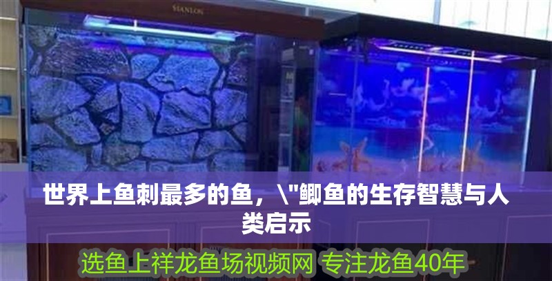 世界上魚刺最多的魚，\