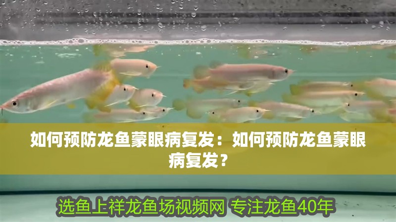如何預防龍魚蒙眼病復發：如何預防龍魚蒙眼病復發？