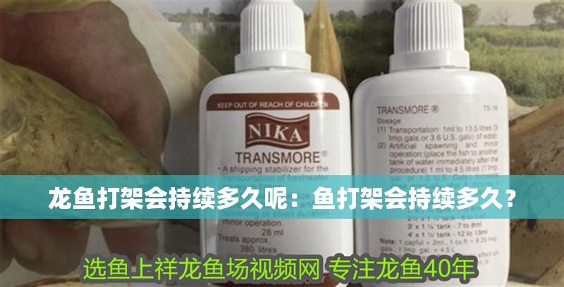 龍魚打架會持續多久呢：魚打架會持續多久？
