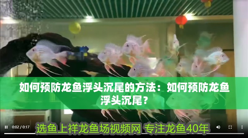 如何預防龍魚浮頭沉尾的方法：如何預防龍魚浮頭沉尾？