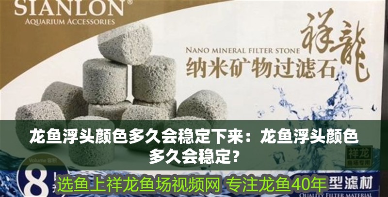 龍魚浮頭顏色多久會穩定下來：龍魚浮頭顏色多久會穩定？