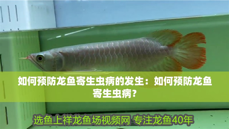 如何預防龍魚寄生蟲病的發生：如何預防龍魚寄生蟲??？