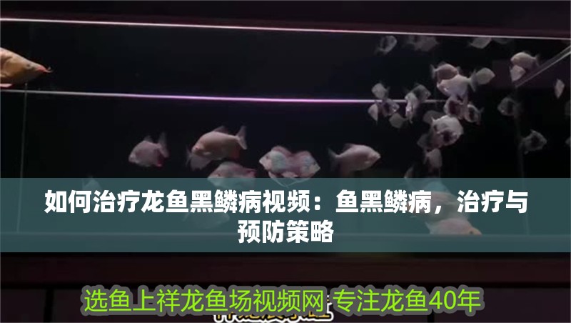 如何治療龍魚黑鱗病視頻：魚黑鱗病，治療與預防策略