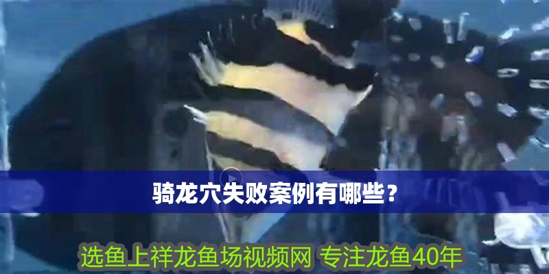 騎龍穴失敗案例有哪些？