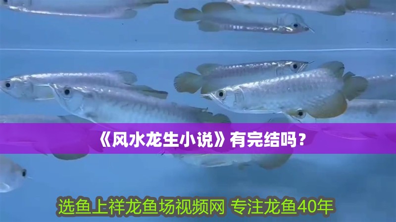 《風水龍生小說》有完結嗎？ 《風水龍生小說》有完結嗎？ 龍魚百科
