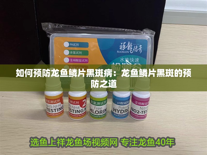 如何預防龍魚鱗片黑斑病：龍魚鱗片黑斑的預防之道