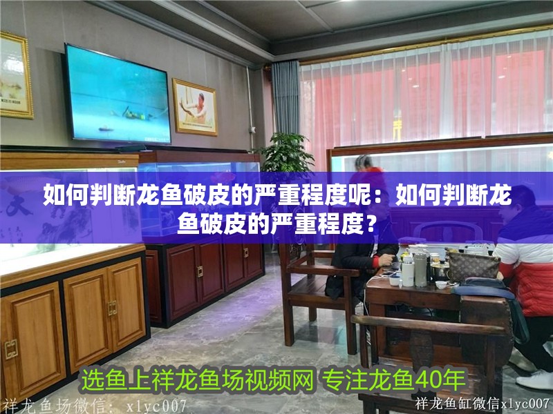 如何判斷龍魚破皮的嚴重程度呢：如何判斷龍魚破皮的嚴重程度？