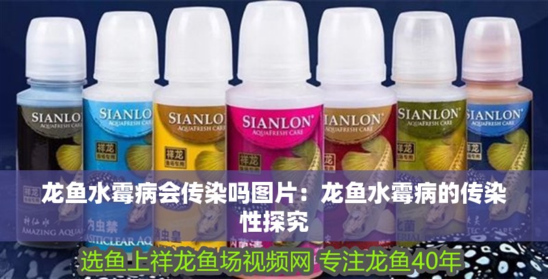龍魚水霉病會傳染嗎圖片：龍魚水霉病的傳染性探究
