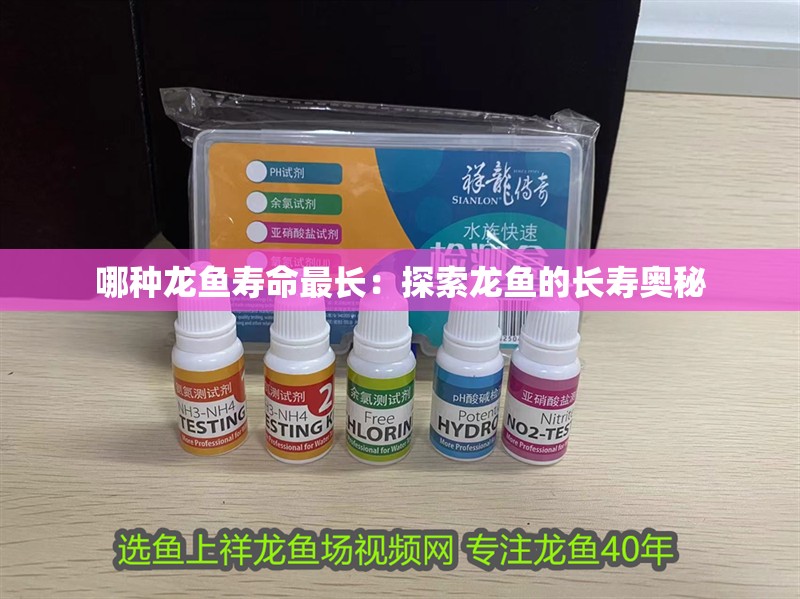 哪種龍魚(yú)壽命最長(zhǎng)：探索龍魚(yú)的長(zhǎng)壽奧秘