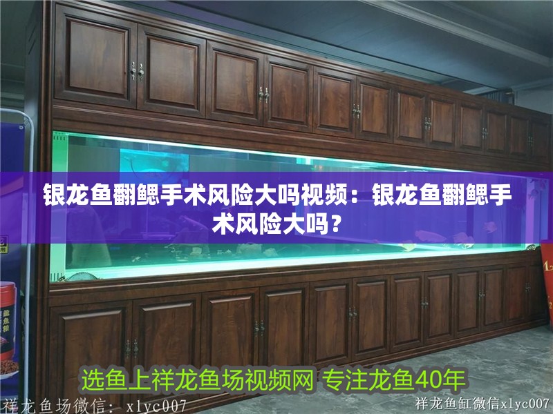 銀龍魚翻鰓手術風險大嗎視頻：銀龍魚翻鰓手術風險大嗎？