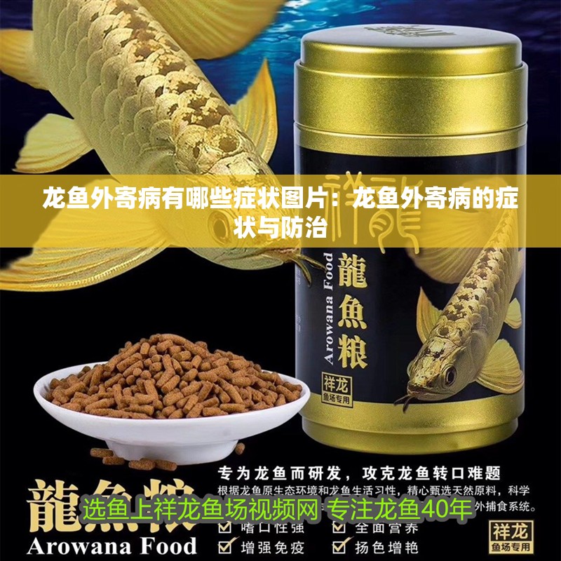 龍魚外寄病有哪些癥狀圖片：龍魚外寄病的癥狀與防治