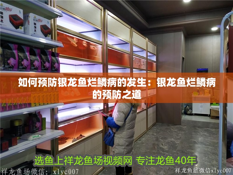 如何預防銀龍魚爛鱗病的發生：銀龍魚爛鱗病的預防之道