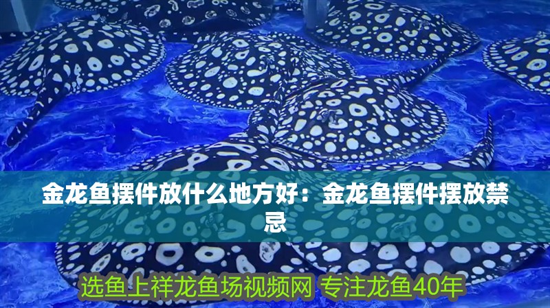 金龍魚擺件放什么地方好：金龍魚擺件擺放禁忌