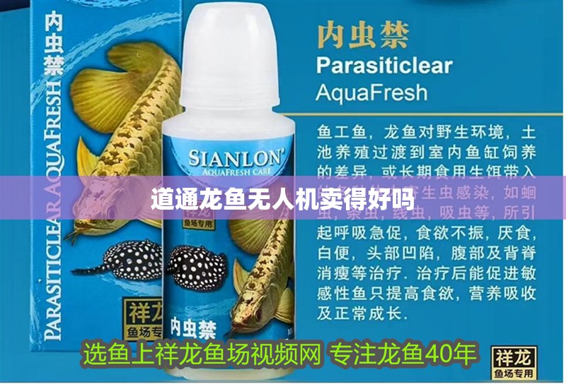 道通龍魚無人機賣得好嗎 道通龍魚無人機賣得好嗎 龍魚百科