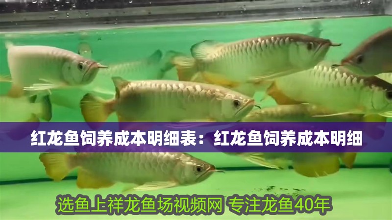 紅龍魚飼養成本明細表：紅龍魚飼養成本明細