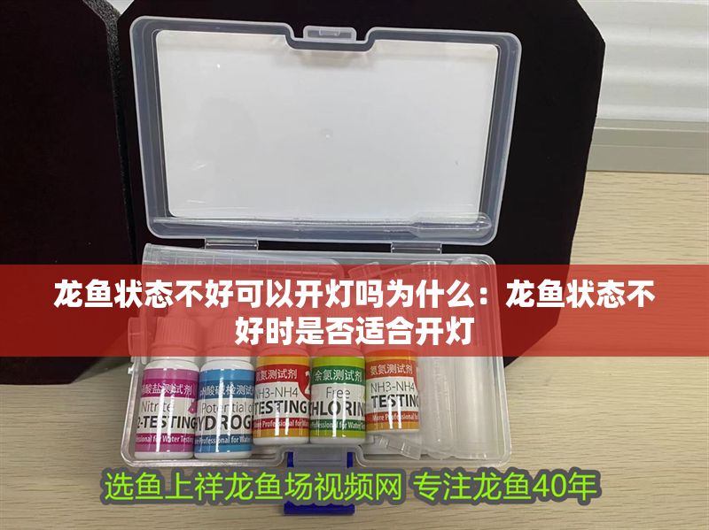龍魚狀態不好可以開燈嗎為什么：龍魚狀態不好時是否適合開燈