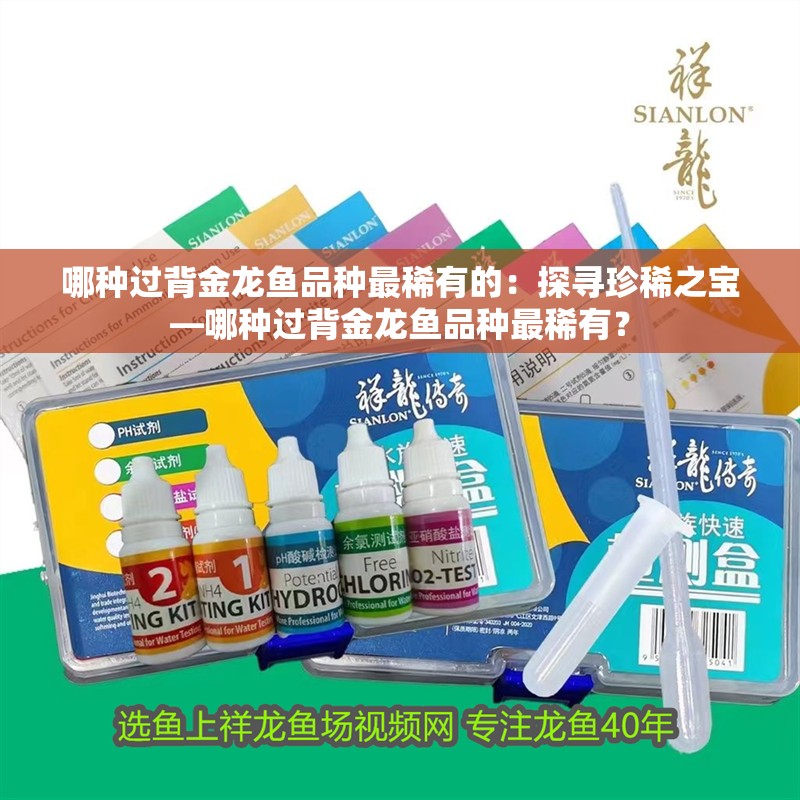 哪種過背金龍魚品種最稀有的：探尋珍稀之寶—哪種過背金龍魚品種最稀有？