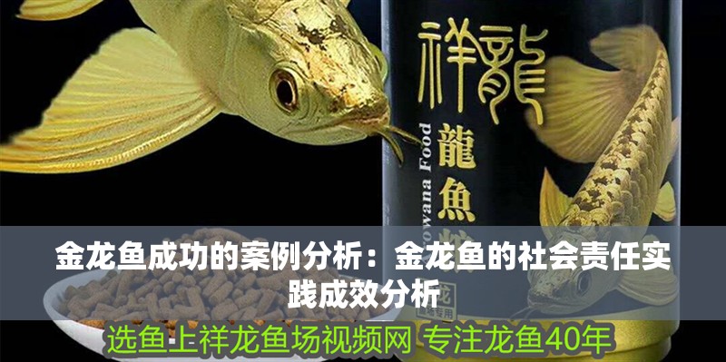 金龍魚成功的案例分析：金龍魚的社會責任實踐成效分析