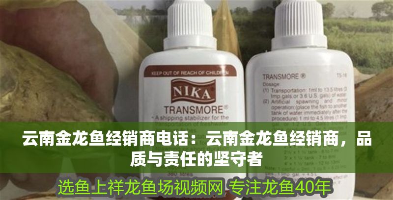 云南金龍魚經銷商電話：云南金龍魚經銷商，品質與責任的堅守者