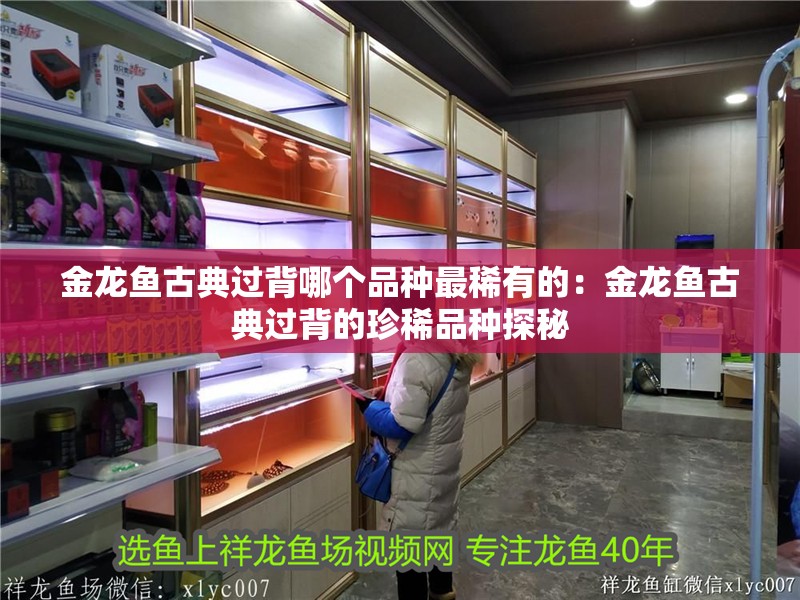金龍魚古典過背哪個品種最稀有的：金龍魚古典過背的珍稀品種探秘