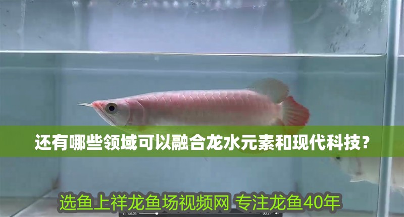 還有哪些領域可以融合龍水元素和現代科技？ 還有哪些領域可以融合龍水元素和現代科技？ 龍魚百科